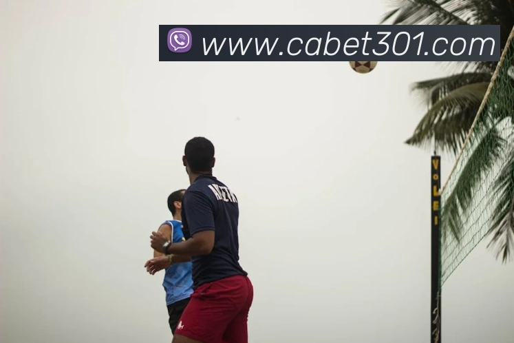 ca亚洲城全站App ca亚洲城全站App